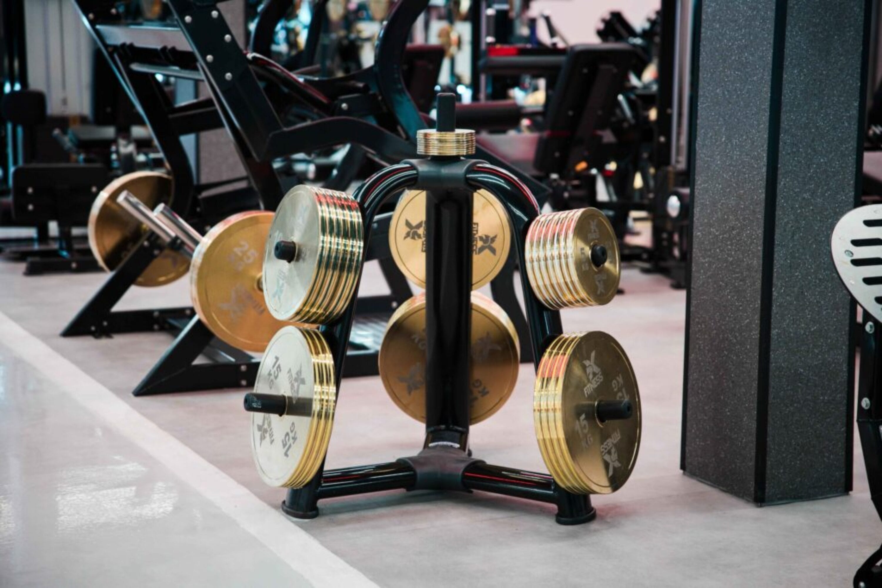 Fitness zóna zlaté kotouče XFitness Smíchov