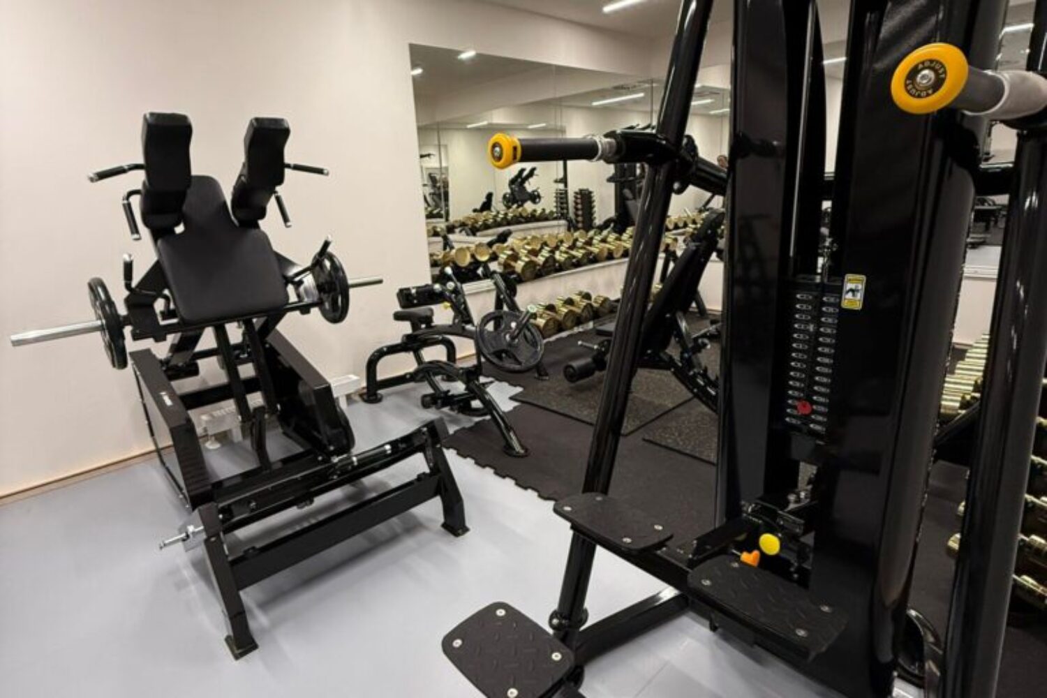 Fitness zóna s posilovacími stroji XFitness Lysolaje